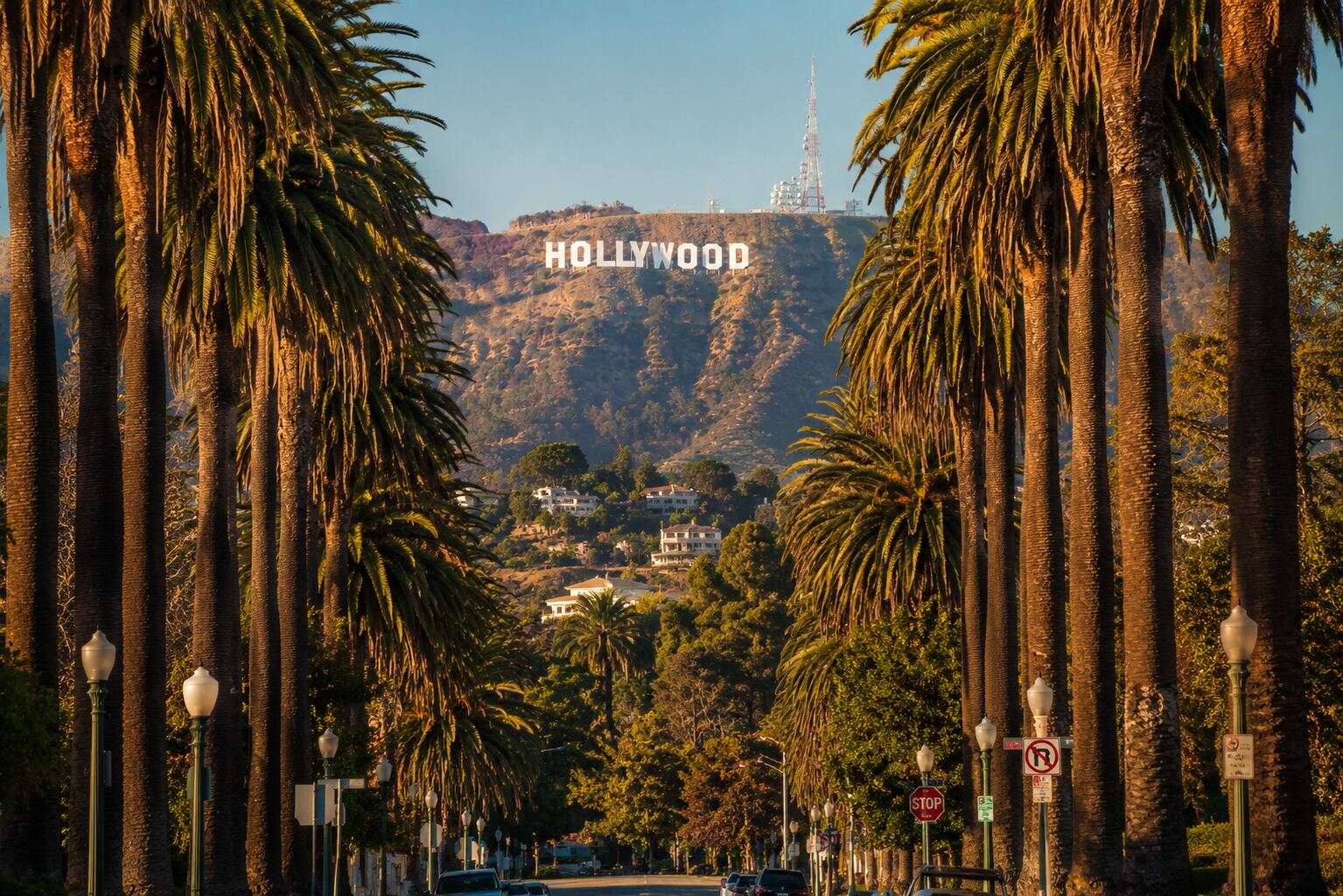 Palm tree-lined street framing a view of the Hollywood sign